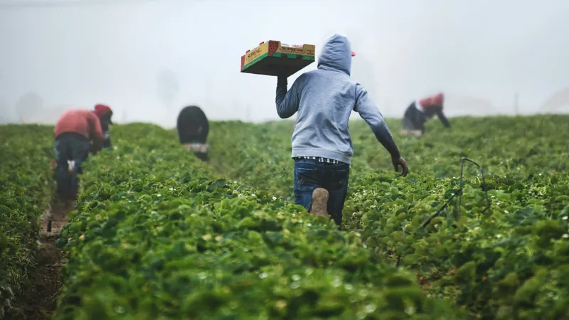 Agricultural and Farming